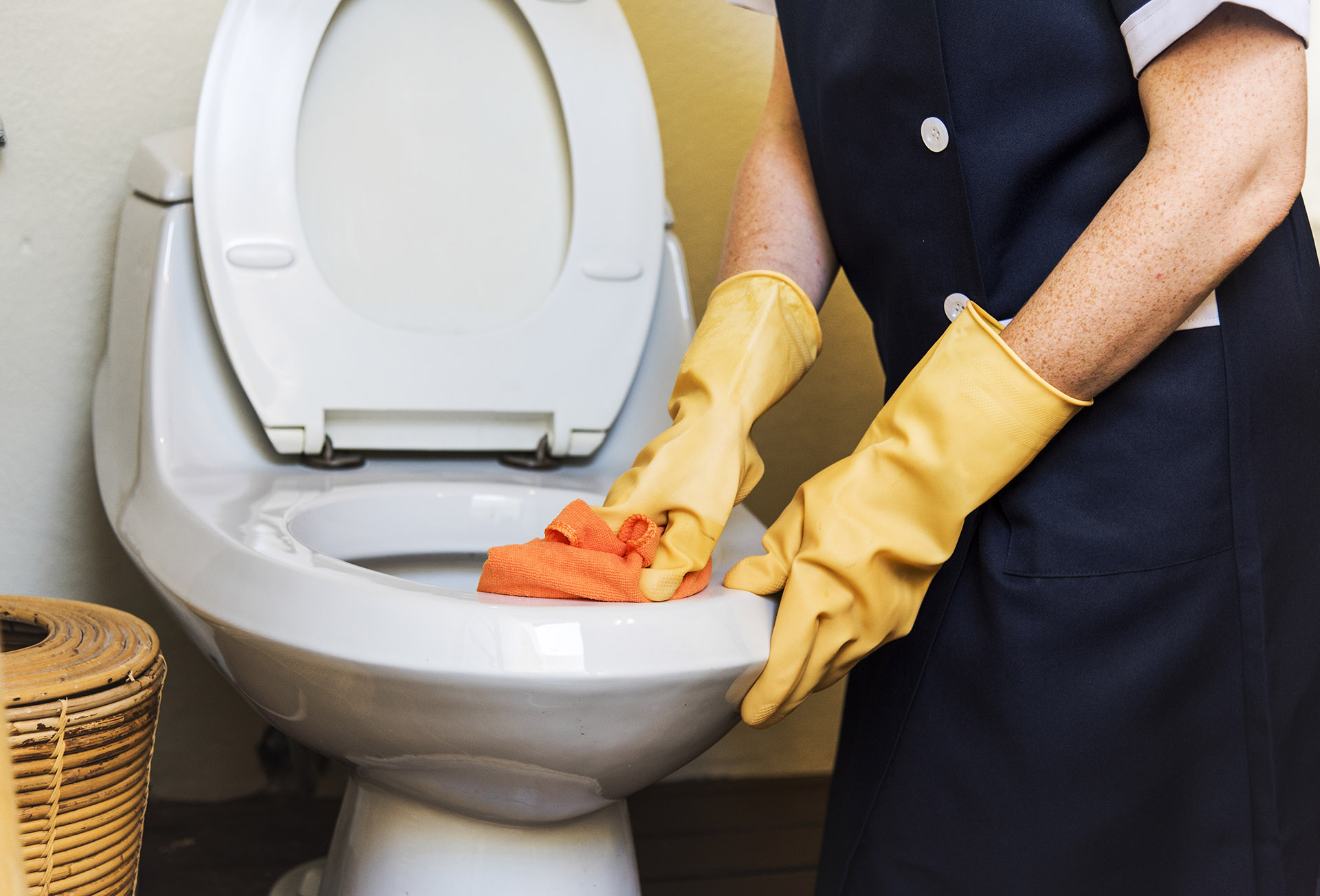 Cleaning Service