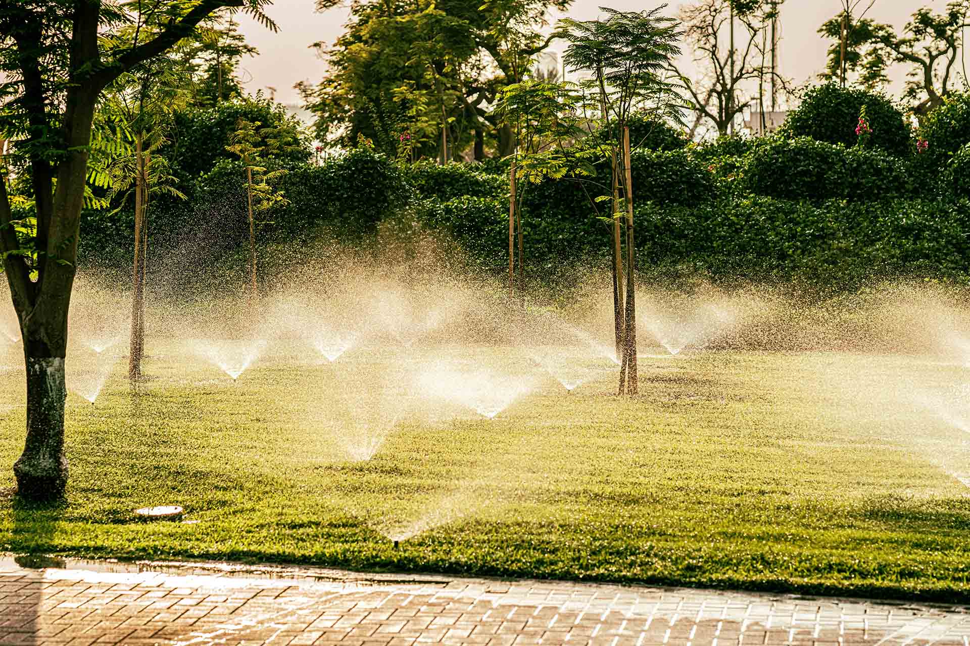 Cleaning Service